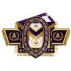 MASONIC GRAND LODGE MASTER MASON 100% LAMBSKIN APRON + CHAIN