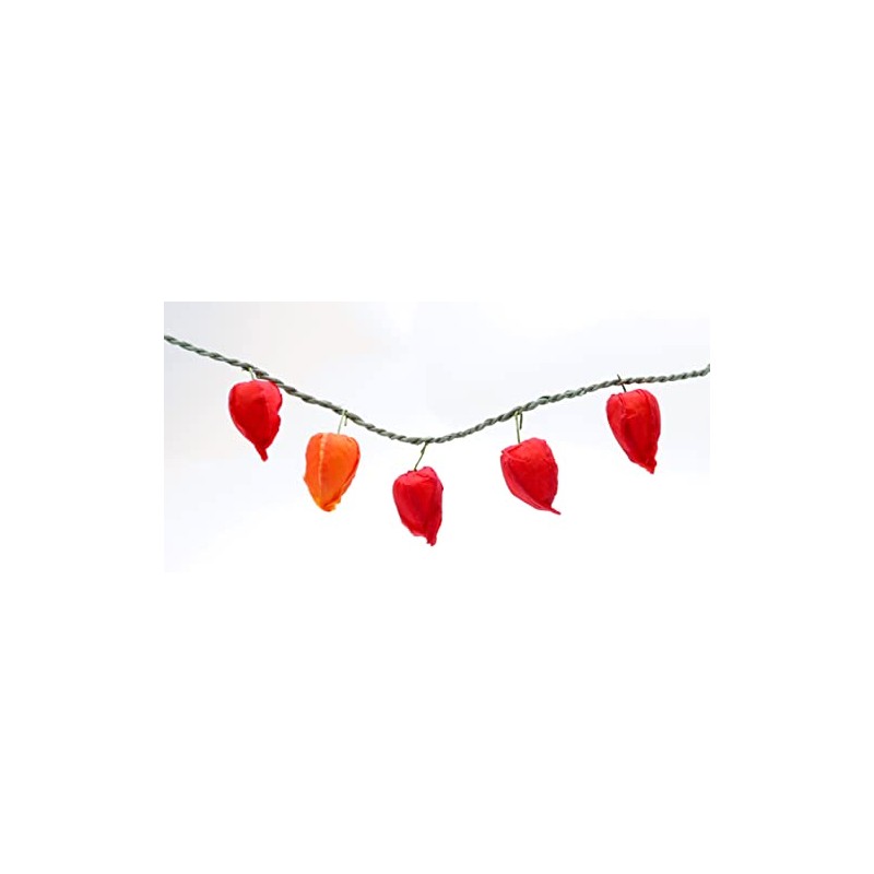 Yamaichi Shoten B-853 O-bon Decoration, Obon Supplies, Hozuki, Artificial Flowers,