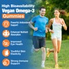 Omega-3 Gummies for Adults, Orange Flavor – Sugar-Free, Algae-Derived DHA