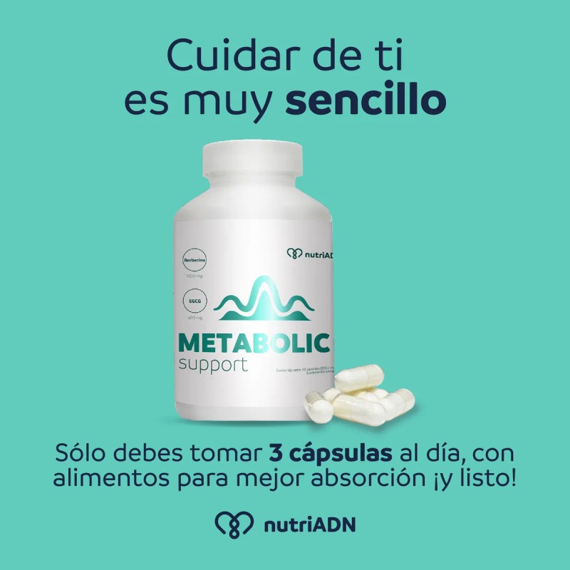 Berberina 60 Capsulas Metabolic Support Suplemento