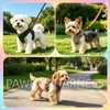 PAWDAY No-Pull Dog Harness with Dog Leash Breathable Mesh Adjustable