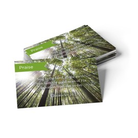 Pass It On Scripture Cards, Praise, 1 Chronicles 16:23, Pack of 25 Inspirational Bible Verse Wallet Cards for Devotional, Bible Study, & Memorization, Small Christian Greetings for Encouragement