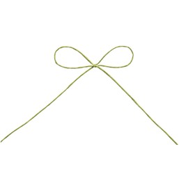 Tokyo ribbon papie-ru 29 Pistachio Grn Approx 1 mm X 130 m