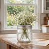 Lyellfe 12 Pack Wide Mouth Mason Jars, 12 Oz Airtight