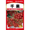 takii種苗 Mini Tomato Thousands Shrubs
