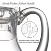 Amazing Abby - Bubbly - 2-Pack Acrylic Pitcher (72 oz),
