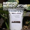 Old Cobblers Farm Pure Aluminum Sulfate for Soil pH Balance,
