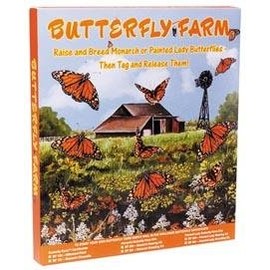 Educational Science Painted Lady Butterfly Set-up Culture, 35 Painted Lady Larvae (Ship ASAP), 6 Cups of 6 Larvae, PC350A WE Enable Discovery
