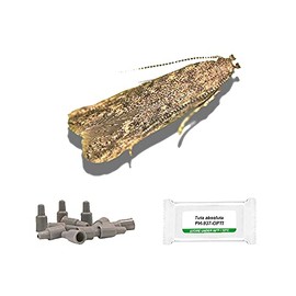 PlantPro Pack of 3 Moth Trap Attractant Pheromones Tomato Leafminer Moth