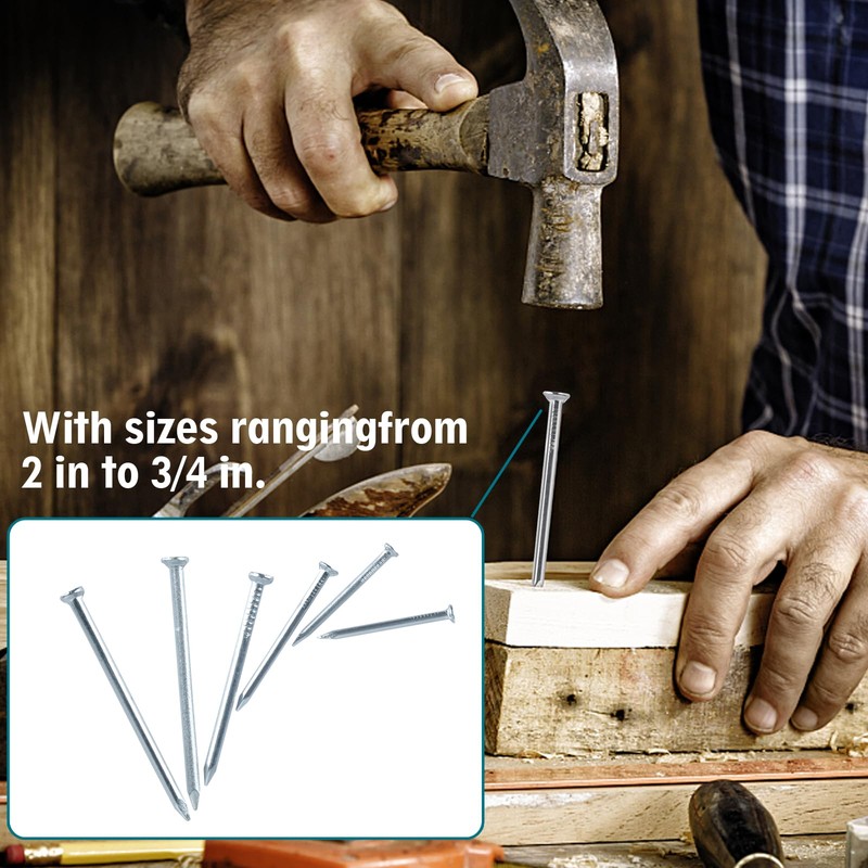 Nail for Hanging Pictures Assortment Kit - 650Pcs Small Nails,