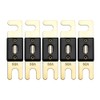 Offgridtec 60A 72V ANL Fuse DIN43560/1 Set of 5