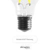 Oktaplex lighting Oktaplex 12er Set Glhlampe E27 LED warmwei? 2700K