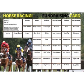 Lazy Snail 'Horse Racing' Fundraising Cards - Pack of 8 Cards - 45 Squares and Fun Golden Winner Envelopes to Raise Money for Charity - Full Colour Fund Raising Cards … (A4)