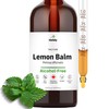 Herbity Lemon Balm Tincture – Alcohol-Free Herbal Supplement for Relaxation,