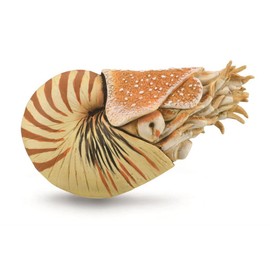 CollectA, Nautilus Pompilius, Collectable Animal Figurine