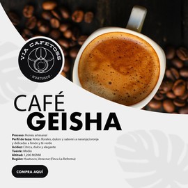 Café Vía Cafetoss Geisha Red Honey de las Altas Montañas de Huatusco, Veracruz MX en Grano tueste medio 500 gr