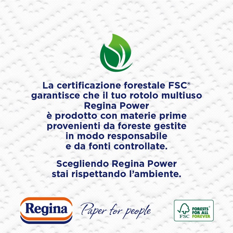 Regina Power Multi-Purpose Paper 250 Sheets 2 Ply Ideal for