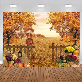 CHAIYA 7x5ft Fall Backdrop Fall Pumpkins Maple Leaves Backdrops Fall Harvest Pumpkin Farm Background Thanksgiving Party Decorations Banner Background