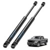 ARANA Hood Struts for Dodge Ram 1500 2009-2010, Engine Hood