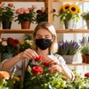 Disposable Face Masks, 3-Ply Breathable Dust Protection for Daily Use,