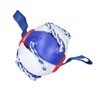 Interactive Outdoor Fly Ball Flying Saucer Ball Interesting Dog Soccer