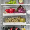 Rosenstein & Söhne Fridge Box: Set of 4 Foldable Fridge