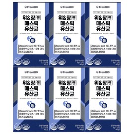 FromBio Stomach Mastic Lactic Acid Bacteria 15 packets (6) / 프롬바이오 위장엔 매스틱 유산균 15포 6개