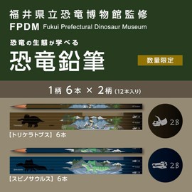 Tombow Pencil Kakata Pencil 2B Dinosaur B Set of 12 Pencils (2 Patterns x 6) + Original Card + Glitter Stickers PCA-371BAZ