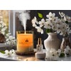 Flameless Essential Oil Diffuser. It Features an Easy to use