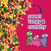 NERDS Candy Dual Variety Pack - Grape & Strawberry, Watermelon