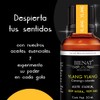 BIENAT AROMATERAPIA Aceite Esencial de Ylang Ylang 30mL