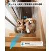 Set of 2, Full Color Night Vision, 3 Megapixels, Pet