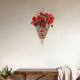 LIOOBO Hanging Wall Basket: Hanging Planter, Hanging Plant Pots, Planter Basket for Garden Yard Plant 2Pcs