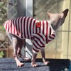 DENTRUN Hairless Cats Shirt Cat Wear Clothes Stripe Vest Best