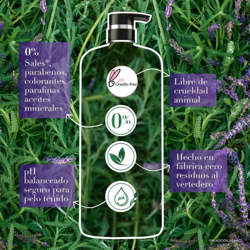 Sh. Herbal Essences Antifrizz Lavanda & Almendras 600 Ml