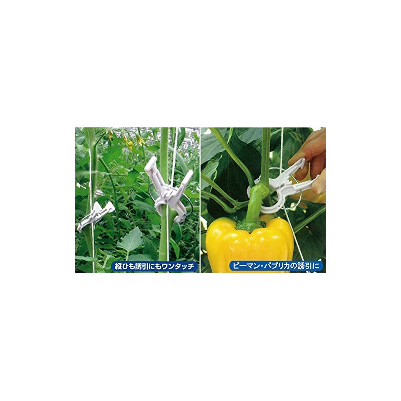 Seam Attracting Material Kokitachi Alpha for Thin String 24 Pieces