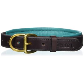 Perri's Padded Leather Dog Collar, Havana/Turquoise, Medium