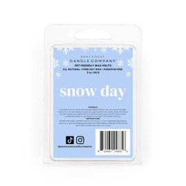 Snow Day Pet Odor Eliminator - All Natural, Non-Toxic, Pure Soy Wax Melts