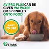 Vetark Avipro Plus | Prebiotic and Probiotic Supplement For Dogs