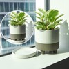 D'vine Dev Modern Round 6 Inch Ceramic Plant Pot Saucer,