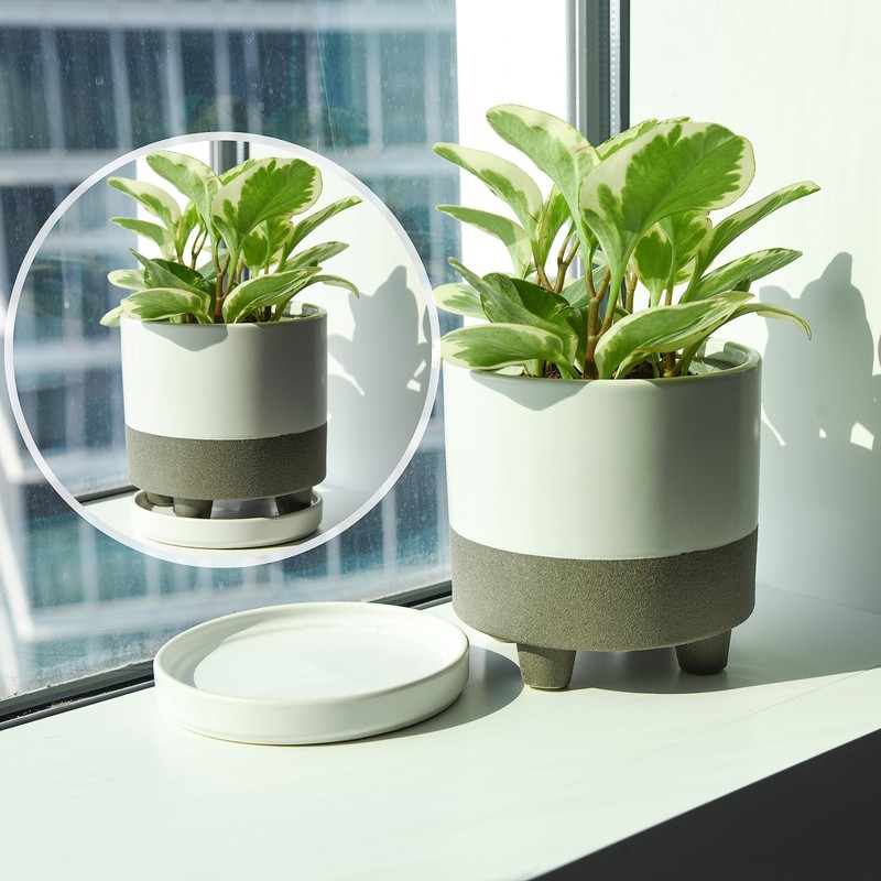 D'vine Dev Modern Round 6 Inch Ceramic Plant Pot Saucer,