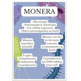 Monera Classroom Poster - Science Biology Classroom Poster - 12 x 18 Inch - Classroom Decor - Classroom Must Haves - Back To School Decor - CPS0642