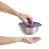 Charles Viancin - Blackberry Silicone Lid for Food Storage and