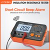 LYCEBELL Digital Insulation Resistance Tester LC-VC60B Megohmmeter 0.1~200 MΩ Insulation