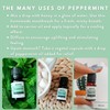 Peppermint Essential Oil 30mL by Revive Essential Oils - 100%