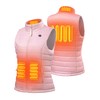 ANTARCTICA GEAR Women's Heated Vest With 16000mAh Battery Pack, Rechargable