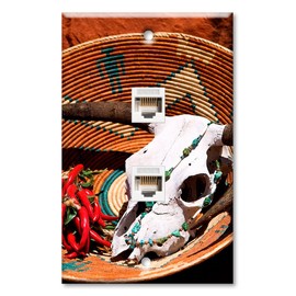 Art Plates - Two Port RJ45 Ethernet decorative printed keystone style wall plate. Works with Cat5 through Cat8 cables. Female to Female Connections. - Skull in a Bowl