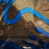 Assam Tea for Chai (CTC Process), 3.5 oz (100 g),