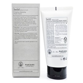 Belif 빌리프 크리미 클렌징 폼 모이스트 160ml Belif Creamy Cleansing Foam Moist 160ml