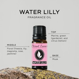Water Lily Premium Grade Fragrance Oil - 10ml - Scented Oil